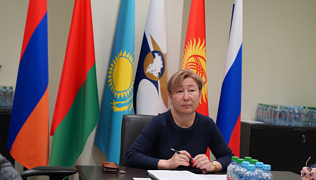 Рабочая группа по оценке регулирующего воздействия проектов решений ЕЭК