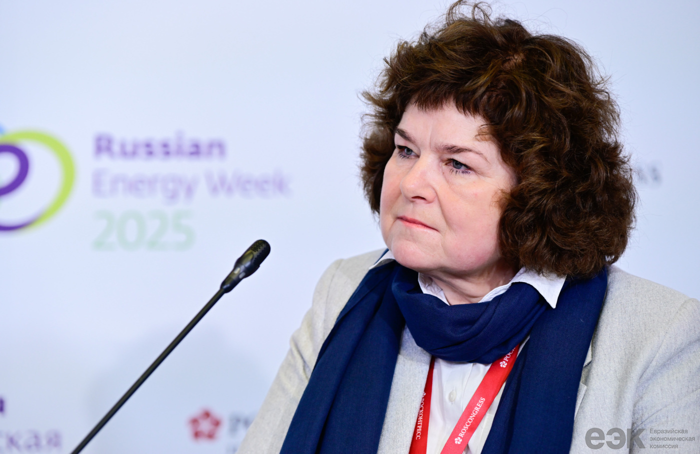 Ольга Прудникова обсудила правовое регулирование энергетики на РЭН