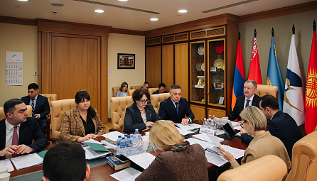 Заседание Консультативного комитета по таможенному регулированию