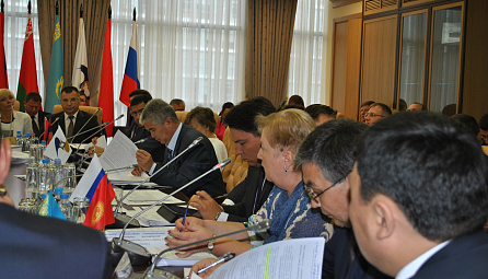 Meeting on the settlement of differences in the draft Treaty on the Customs Code  of the EAEU