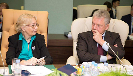 Еуразиялық экономикалық комиссия Кеңесінің он бірінші отырысы