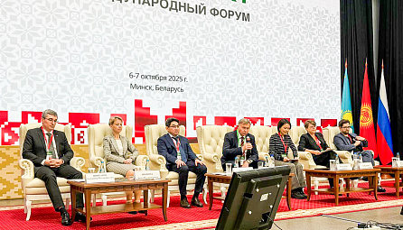 Борьба с контрафактными товарами: как в ЕАЭС защищают интеллектуальную собственность
