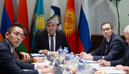 В ЕЭК обсудили вопросы регулирования естественных монополий