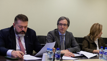 Заседание рабочей группы по таможенному декларированию 