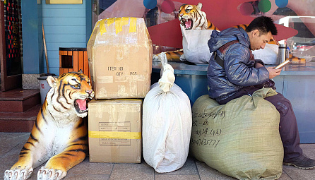 Серый импорт загорится красным