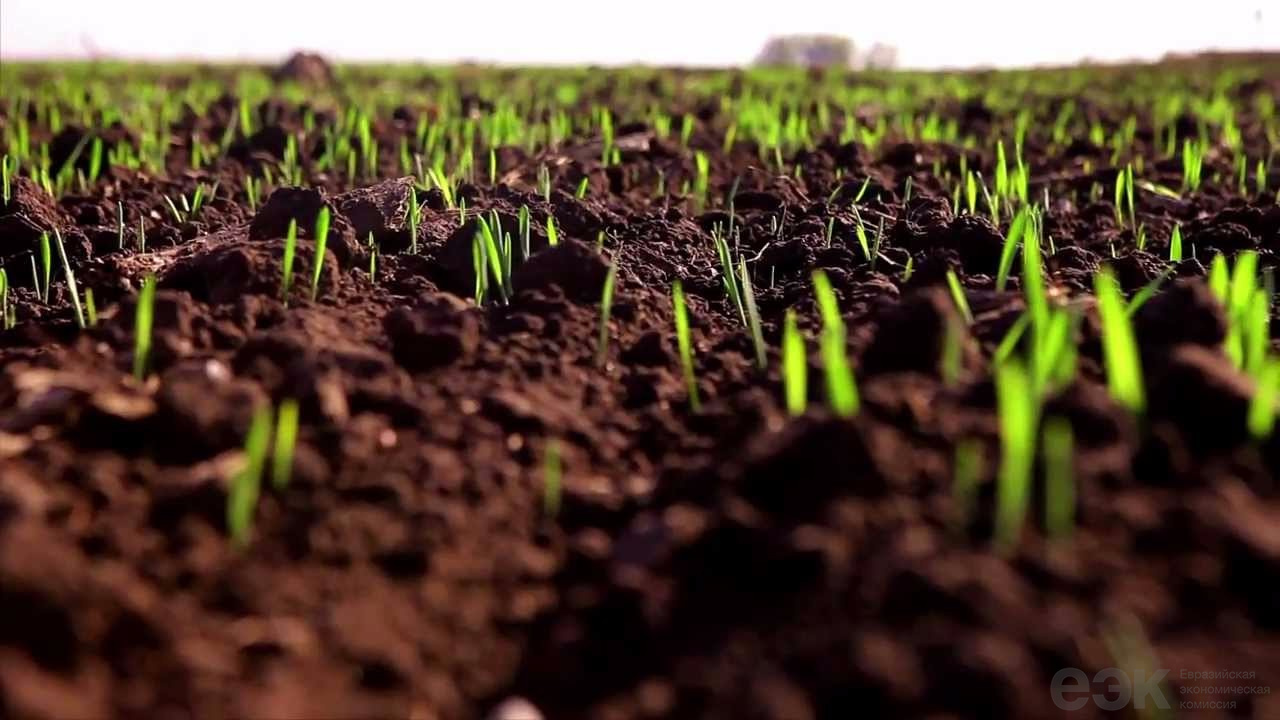 Юлия Михалкованың порно суреттері