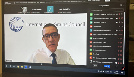 ЕЭК и Международный совет по зерну провели первый совместный вебинар