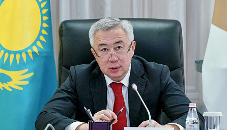 Заседание Совета ЕЭК 29 ноября 2024 года 