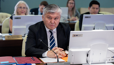 Единое информационное пространство Беларуси, Кыргызстана и России создано в рамках транспортного контроля на внешней границе ЕАЭС