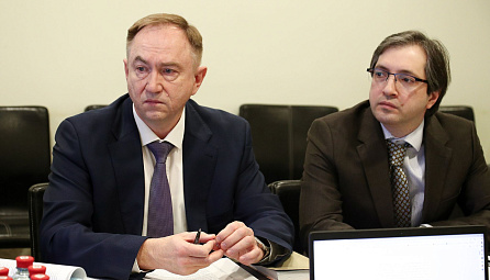 Рабочая группа по таможенному декларированию 