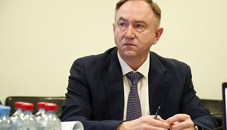 Рабочая группа по таможенному декларированию 